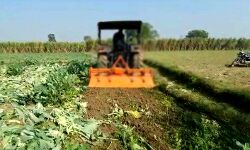 किसान ने खड़ी फसल पर चलाया ट्रैक्टर किसान ने खड़ी फसल पर चलाया ट्रैक्टर