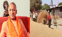 MSP के तहत की जाने वाली गेहूं खरीद व्यवस्थाएं सुनिश्चित की जायं-योगी