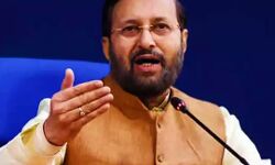 डॉक्टर गरीब मरीजों के लिए जेनरिक दवा लिखें : जावडेकर