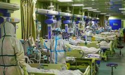 5.24 लाख से अधिक लोगों की मौत 5.24 लाख से अधिक लोगों की मौत