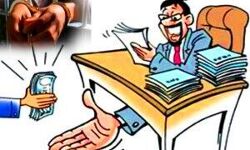 रिश्वत लेते VDO रंगेहाथ गिरफ्तार