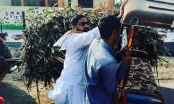 पलटी ई-रिक्शा- दौड़े बसपा नेता पलटी ई-रिक्शा- दौड़े बसपा नेता