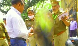 विधानसभा के गेट पर पहुंची महिला- उड़ेला तेल और...