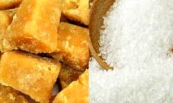 मंडी में गुड़ और चीनी के भाव मंडी में गुड़ और चीनी के भाव