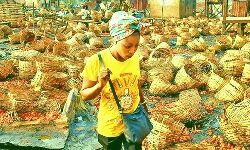 टमाटर की एक टोकरी का विवाद-20 लोगो की मौत