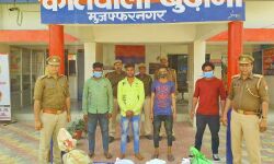 गांजा व अवैध शराब समेत 4 गिरफ्तार गांजा व अवैध शराब समेत 4 गिरफ्तार