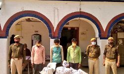 शटर तोड़कर करते थे चोरी, दिन में रेकी- पुलिस ने किया अरेस्ट