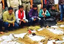 बाघ की खाल के साथ पांच पुलिसकर्मी गिरफ्तार बाघ की खाल के साथ पांच पुलिसकर्मी गिरफ्तार