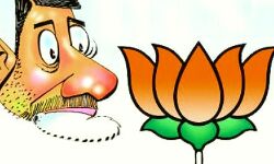 भाजपा के अंदर दरार पड़ने के संकेत