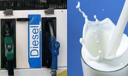 दूध में तीन, पेट्रोल में पांच और डीजल में होगी 4 रूपये की कमी दूध में तीन, पेट्रोल में पांच और डीजल में होगी 4 रूपये की कमी