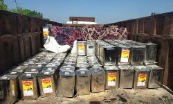 नेपाल से लाये थे तेल- बरेली में धरे गए नेपाल से लाये थे तेल- बरेली में धरे गए