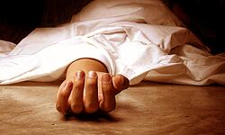 महिला की पीट पीट कर हत्या महिला की पीट पीट कर हत्या