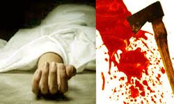 BSC की छात्रा ने हथौड़े से वार कर मां की हत्या की