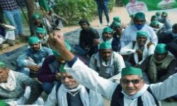 बुधवार को सिसौली में नहीं गाजीपुर बॉर्डर पर होगी भाकियू की पंचायत