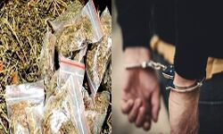 पुलिस को मिले महत्वपूर्ण लिंक- लाखों का गांजा बरामद