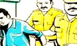 पुलिस ने तस्करी कर ले जा रहे 13 गोवंशों को कराया मुक्त