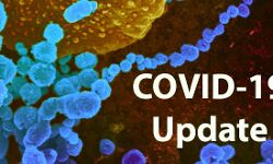 जान पर पड रही कोरोना की मार-थम नहीं रही कोरोना की रफ्तार जान पर पड रही कोरोना की मार-थम नहीं रही कोरोना की रफ्तार