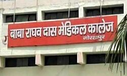 खिड़की से गिरा-हुई मौत-कुत्ते खा गए नाक, कान और सिर खिड़की से गिरा-हुई मौत-कुत्ते खा गए नाक, कान और सिर