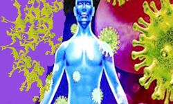 कोरोना बेकाबू- सरकार की बढ़ी चिंता- बजेगा सायरन कोरोना बेकाबू- सरकार की बढ़ी चिंता- बजेगा सायरन