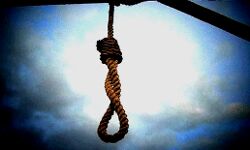 दरवाजा खुला था- गये अंदर- फांसी से लटका मिला किन्नर