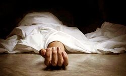 बोलेरो-पिकअप की टक्कर में 5 मरे बोलेरो-पिकअप की टक्कर में 5 मरे