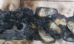 बाहर खड़ी टीम- अंदर था तहसीलदार- चूल्हे में जले 20 लाख