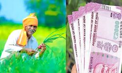 किसानों के खातों में पहुंचा पैसा- 40 घंटे में भुगतान कर बनाया रिकॉर्ड किसानों के खातों में पहुंचा पैसा- 40 घंटे में भुगतान कर बनाया रिकॉर्ड