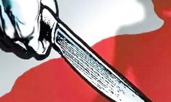 युवक की गला रेतकर हत्या- पत्नी पर हत्या का आरोप