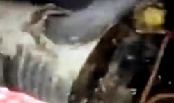 खाकी का शानदार अभियान- 45 शराब तस्कर अरेस्ट- लहन को किया नष्ट खाकी का शानदार अभियान- 45 शराब तस्कर अरेस्ट- लहन को किया नष्ट