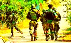 सुरक्षा बलों ने किये भारी मात्रा में हथियार जब्त सुरक्षा बलों ने किये भारी मात्रा में हथियार जब्त