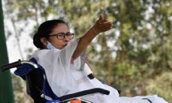 BJP एक अचंभित करने वाले पक्षी की तरह है: ममता