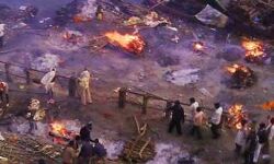 श्मशान पर लगी कतार-18 का अंतिम संस्कार-कम पडी लकड़ी श्मशान पर लगी कतार-18 का अंतिम संस्कार-कम पडी लकड़ी