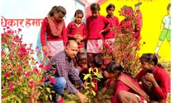 हम पेड़ों को काटते हैं, वे रोज लगाते हैं हम पेड़ों को काटते हैं, वे रोज लगाते हैं