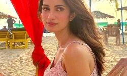 पंचायत चुनाव-बॉलीवुड की एंट्री-मिस इंडिया यहां से आजमायेगी किस्मत