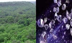 देश का सबसे बड़ा हीरा भंडार भी MP में