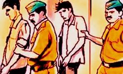देशी कट्टा के साथ तीन अपराधी गिरफ्तार