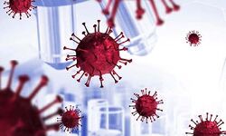 जानिए- यूपी में एक दिन के नये मामले- इन चार जिलों में ज्यादा मामले जानिए- यूपी में एक दिन के नये मामले- इन चार जिलों में ज्यादा मामले