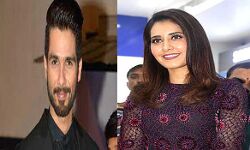 शाहिद के साथ काम करती नजर आयेगी राशि खन्ना शाहिद के साथ काम करती नजर आयेगी राशि खन्ना