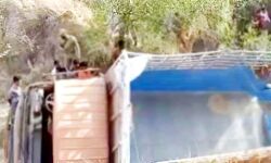 काला शनिवार- श्रद्धालुओं से भरी डीसीएम पलटी, 11 की मौत, 19 घायल