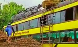 मकान में घुसी बस-एक मरा-पांच घायल मकान में घुसी बस-एक मरा-पांच घायल