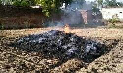 2 बीघा गेहूं की फसल जलकर हुई राख
