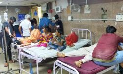 कुटटू के आटे ने मचाया हा-हाकार-400 लोग बीमार-सभी अस्पताल में भर्ती