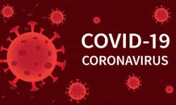 गोलमाल - कोरोना की वैक्सीन लगी नहीं और आ गया मैसेज - मिला सार्टिफिकेट गोलमाल - कोरोना की वैक्सीन लगी नहीं और आ गया मैसेज - मिला सार्टिफिकेट