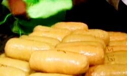 150 करोड की हेरोइन ज़ब्त-8 पाकिस्तानी तस्कर पकड़े 150 करोड की हेरोइन ज़ब्त-8 पाकिस्तानी तस्कर पकड़े