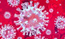 तीन मई तक शनिवार एवं रविवार निजी प्रतिष्ठान बंद तीन मई तक शनिवार एवं रविवार निजी प्रतिष्ठान बंद