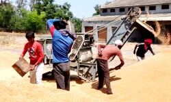 मंडियों में बाहरी राज्यों से गेहूँ का एक भी दाना नही घुसने देने की तैयारी