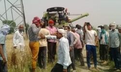 खून के प्यासे किसानों के बीच फायरिंग, एक की मौत खून के प्यासे किसानों के बीच फायरिंग, एक की मौत