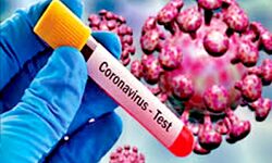 कोरोना का कहर जारी- 2.33 लाख नये मामले कोरोना का कहर जारी- 2.33 लाख नये मामले