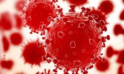 जानिए- विश्व में कोरोना संक्रमण से मरने वालों की संख्या जानिए- विश्व में कोरोना संक्रमण से मरने वालों की संख्या