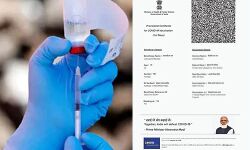 बिना वैक्सीनेशन के अधिवक्ता को दिया सर्टिफिकेट बिना वैक्सीनेशन के अधिवक्ता को दिया सर्टिफिकेट